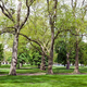 Illustration for article titled Report: End Zones Are The 2 Big Trees And The Parking Lot
